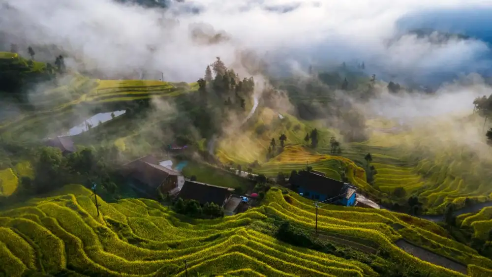 4th “From Ziquejie Terraces To The World” Global Farming Culture Exchange and Mutual Learning Conference Opens in Loudi, Hunan